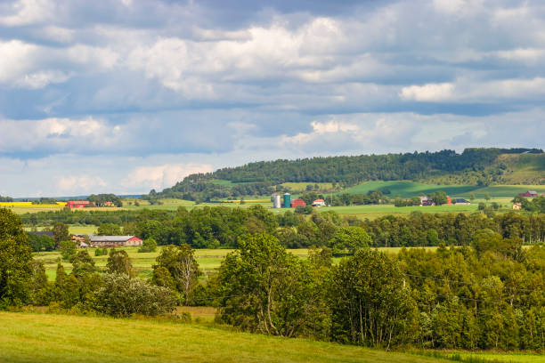 istock Rural landscape view with farms and fields in the summer 1304494285