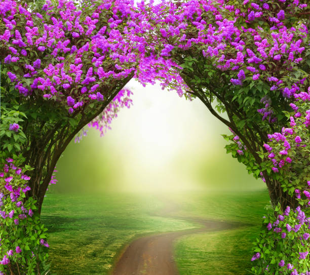 istock Fantasy  background . Magic forest with road.Beautiful spring  landscape.Lilac trees in blossom i 1304494508