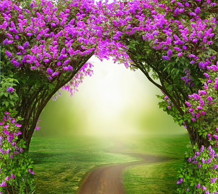 Fantasy  background . Magic forest with road.Beautiful spring  landscape.Lilac trees in blossom