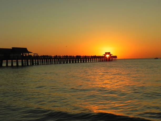 istock Sunset at the pier of Naples Florida 1304500256