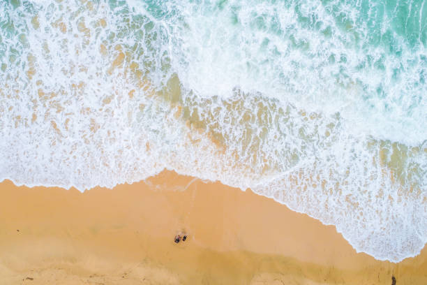istock Beautiful sea wave white sand beach aerial view big serve wave 1304502522