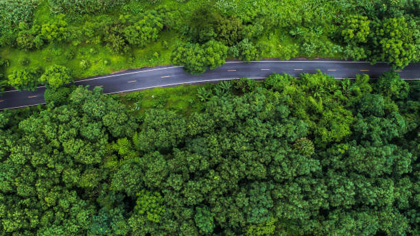istock Aerial view asphalt road through green tropical rainforest 1304502606