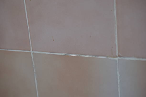 istock Old brown tile on the wall close-up 1304503777