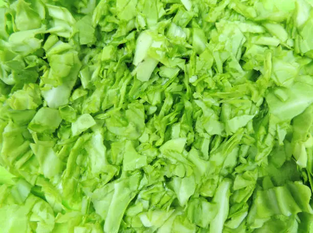 Photo of finely chopped white cabbage close-up