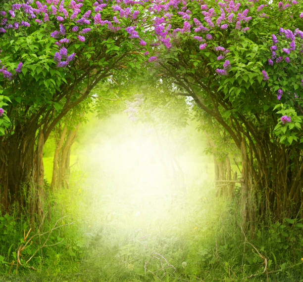 istock Fantasy  background . Magic forest.Beautiful spring  landscape.Lilac trees in blossom 1304505578