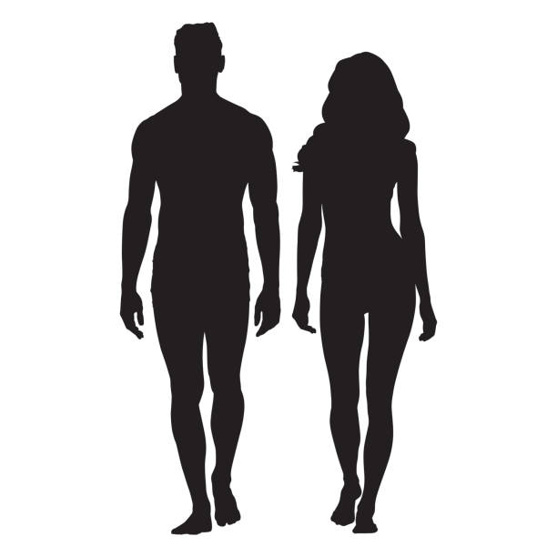 illustrazioni stock, clip art, cartoni animati e icone di tendenza di sagome del corpo uomo e donna. persone che camminano - nudo