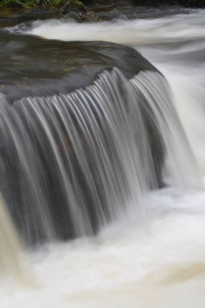 istock A detail of Golitha Falls Bodmin Moor Cornwall 1304509580