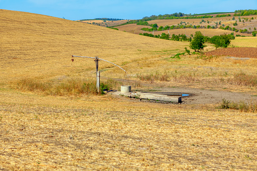 Place where farm animals drink water . Rustic well for animals to drink water . Rural summer nature