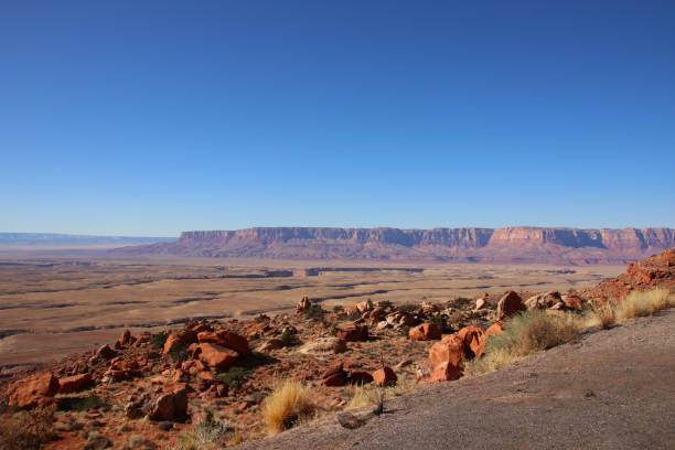 istock panorama view, red desert landscape and blue sky at a sunny day 1304512876