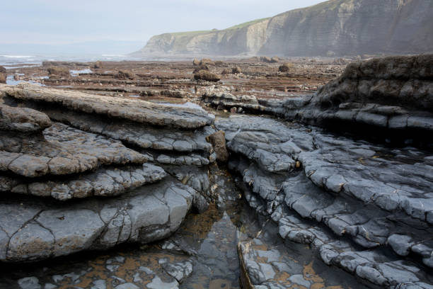 istock Rock strata on the beach 1304513223