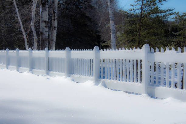 istock decorative fence in a snowy field 1304516776