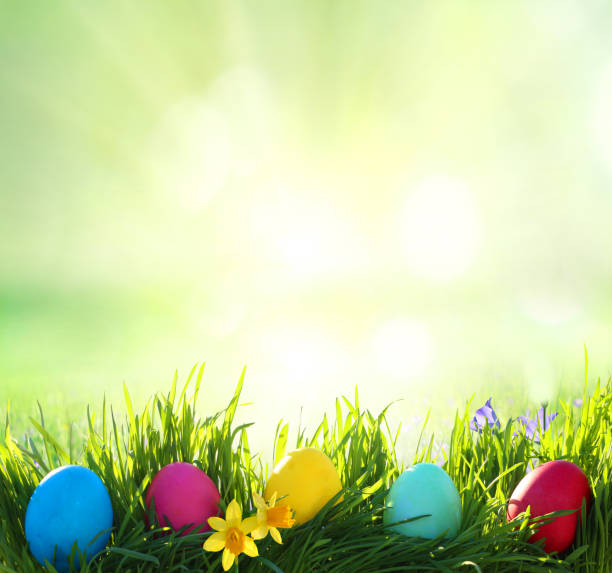 antecedentes de semana santa. huevos de pascua sobre hierba verde - yellow easter daffodil religious celebration fotografías e imágenes de stock