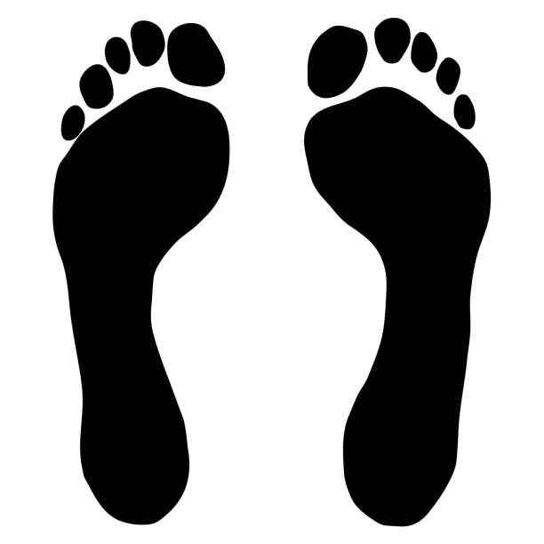 Footprints with toes, of black color. A pair of contours of footprints with toes, of black color. trichophyton fungus stock illustrations