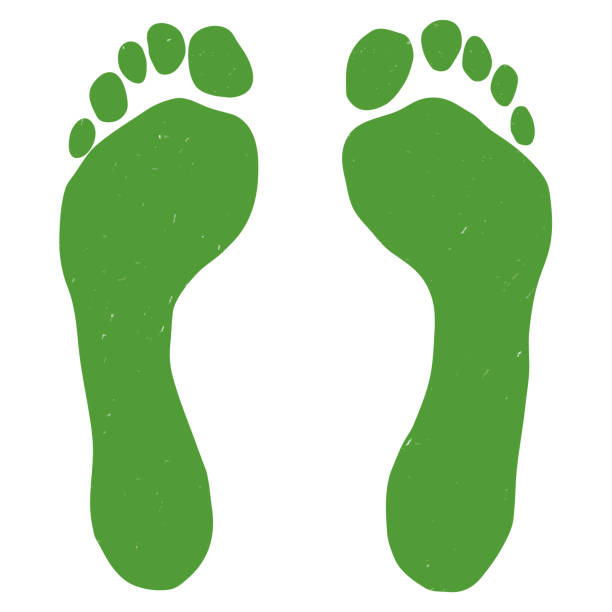 istock Footprints with toes, of green color. 1304519148