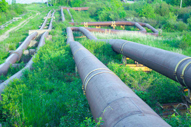 istock sewer pipes on a hillside draining waste into the river 1304521384