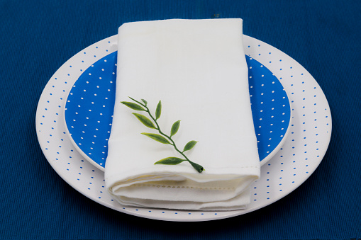 Food table decoration, set of flat plate and dessert in blue tones with polka dots, tablecloth save and green branch as an ornament