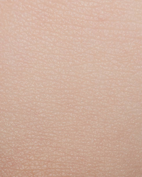 istock Soft bright healthy human skin 1304524050