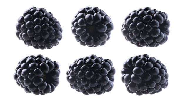 istock A set of blackberries. Isolated on a white background 1304526258