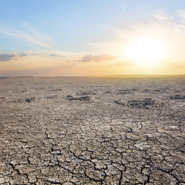istock dry cracked earth at the sunset 1304531150