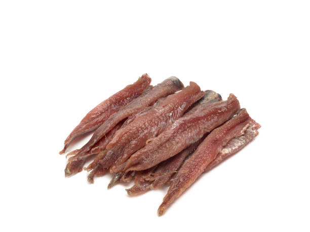 istock Salted anchovies on white 1304534419