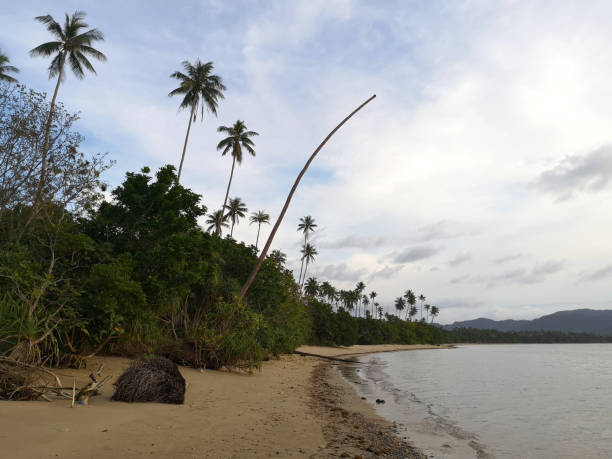 istock Lio beach in El Nido, Palawan 1304534760