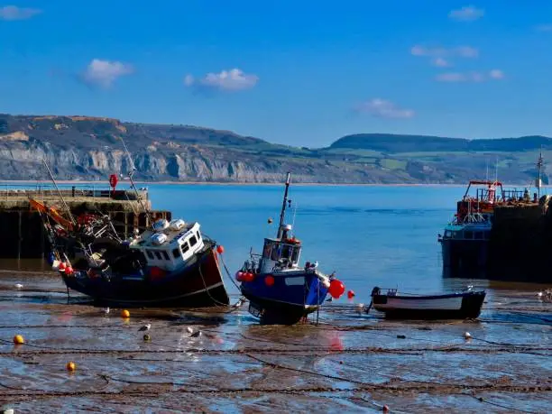 Fishing boats at low tide at the entrance of Lyme Regis Harbour, Dorset, U.K. Sunny day.