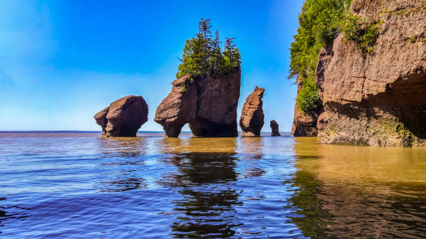 istock Hopewell Rocks Park 1304537617