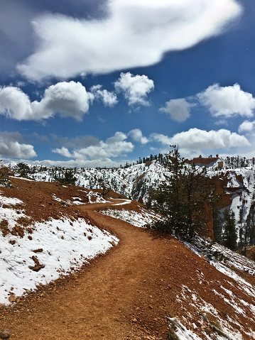 Panoramic picture from Zion National Park in Utah in winter with snow during the day