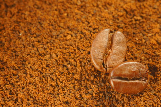 Close-up on coffee bean with blurred background. Brown color, lots of visible details.