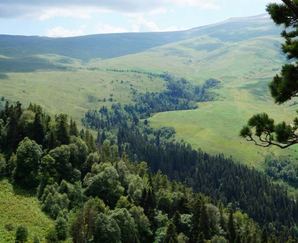 istock Natural landscape with trees and plains. 1304540839