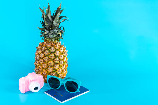 istock Travel and vacation concept 1304543334