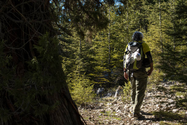 istock Hiking in the forest 1304543718