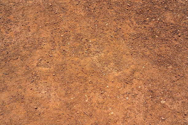 istock Dirt, terrain or gravel stone textured. 1304544692