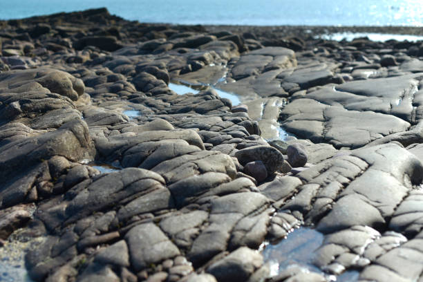istock Beach Saint-Michel Erquy - Rocks 1304545483