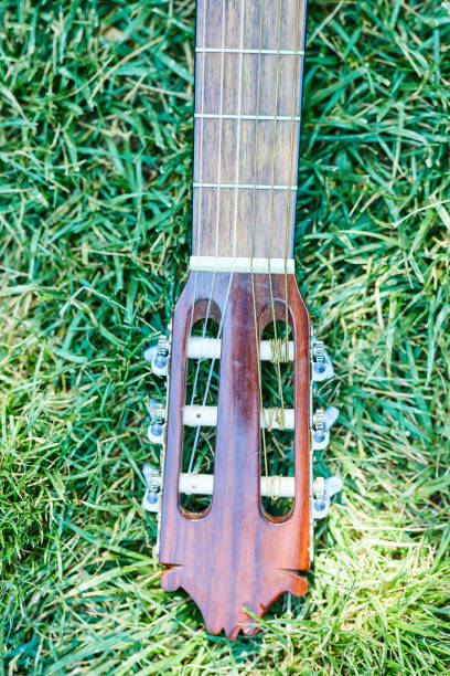 istock Head of guitar on grass 1304547636
