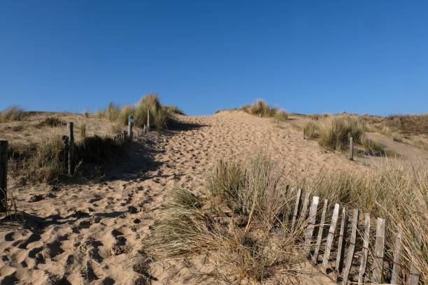 istock Dune of Plouharnel 1304547671
