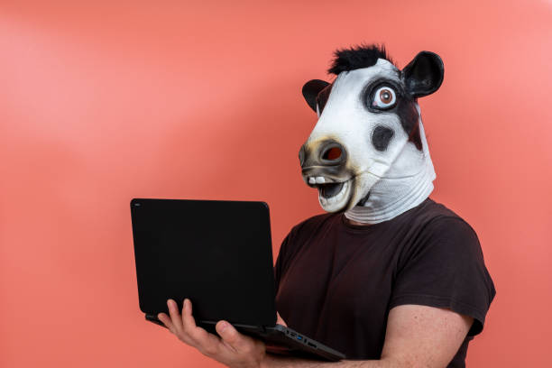 istock person disguised as a cow mask using a laptop computer 1304550673