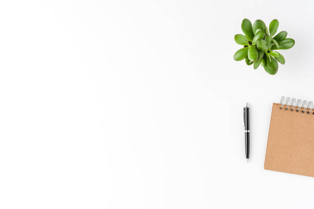 istock Elegant office desktop with notebook, pen and small plant isolated on white background with copyspace. Modern workspace 1304551163