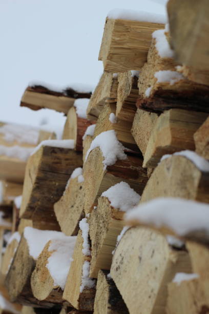 istock Stack of Firewood Covered with Snow Cracked Pine Wood 1304551939