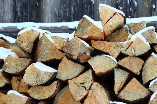 istock Stack of Firewood Covered with Snow Cracked Pine Wood 1304551952