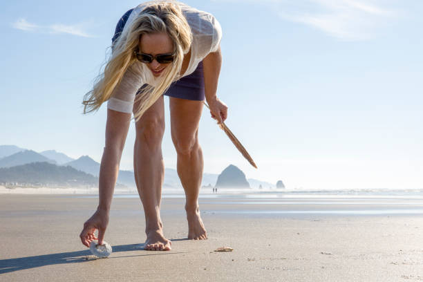 woman collects seashells on empty beach - 3629 imagens e fotografias de stock