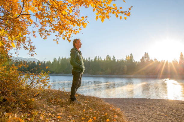 Man watches sunrise over distant forest on lakeshore Autumn leaves on the trees mt shasta photos stock pictures, royalty-free photos & images
