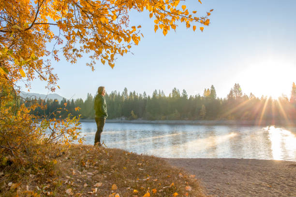 istock Man watches sunrise over distant forest on lakeshore 1304553397