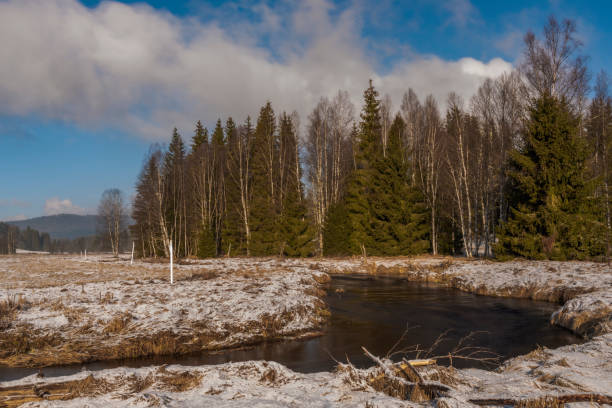 istock Studena Vltava river in winter cold morning with sunshine light 1304557184