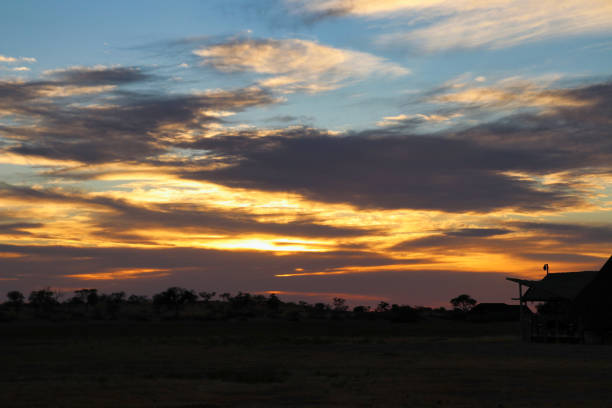 istock beautiful landscape view in Namibia - Africa 1304558352