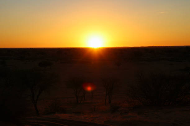 istock beautiful landscape view in Namibia - Africa 1304558539