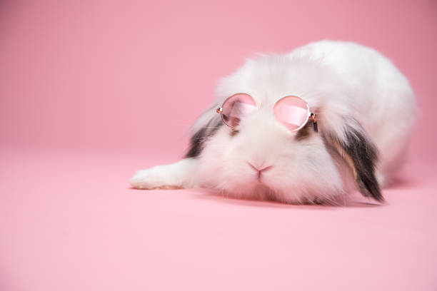 istock Funny white bunny wearing sunglasses on pink background. 1304558665