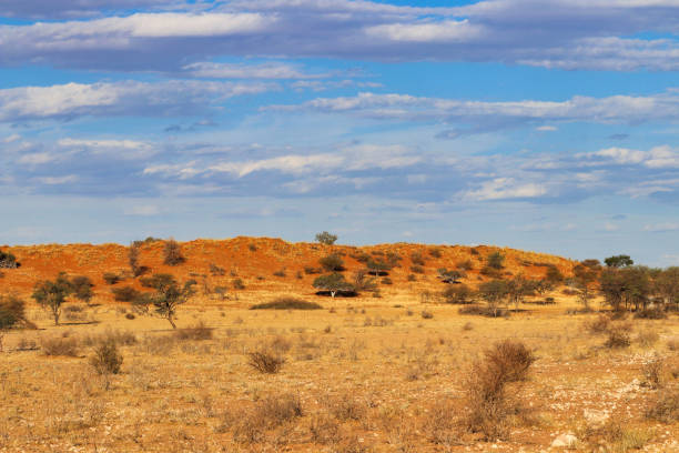 ナミビアの美しい風景の景色 - アフリカ - landscape panoramic kalahari desert namibia ストックフォトと画像