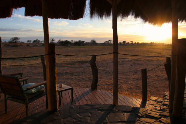 istock beautiful landscape view in Namibia - Africa 1304558831