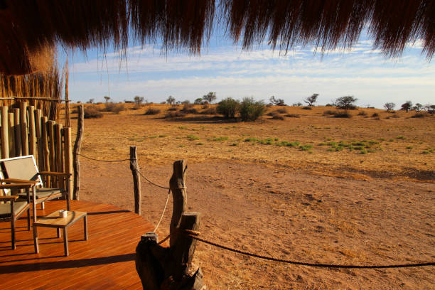 istock beautiful landscape view in Namibia - Africa 1304558867